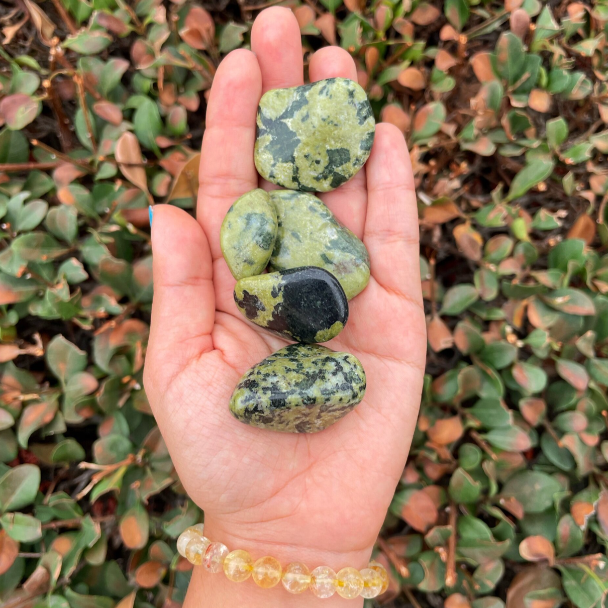 Nephrite Jade - Tumbled