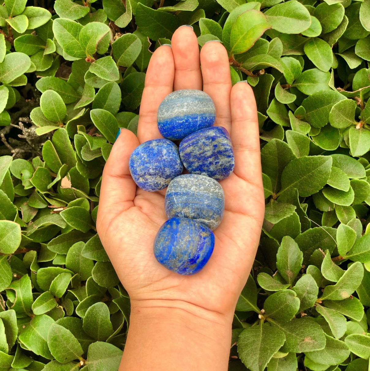 Lapis Lazuli  - Tumbled