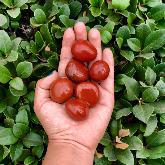 Red Jasper - Tumbled